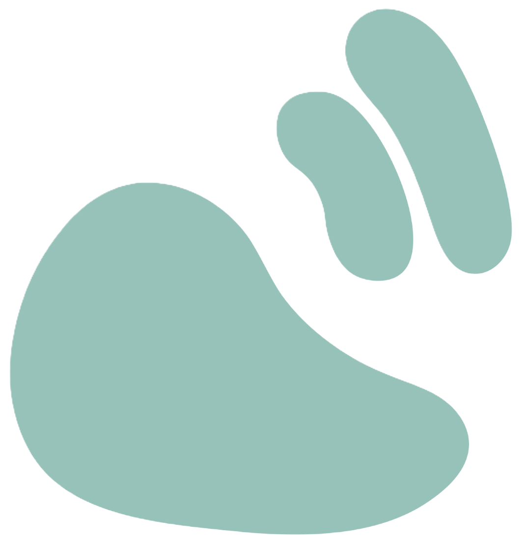 The Snail Collective